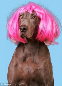 Oh, dah-ling. Should've put a hijab on that.